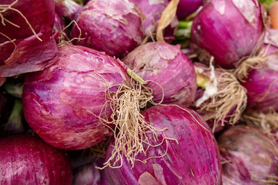 Close-up of purple vegetables