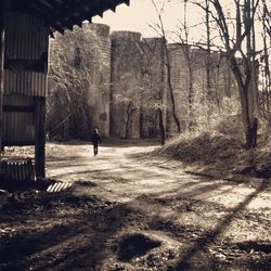 People walking on road