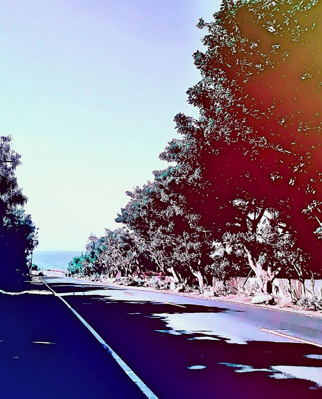 ROAD AMIDST TREES AGAINST SKY