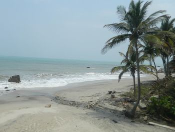 Scenic view of sea against clear sky