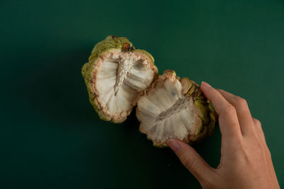 Close-up of hand holding apple against white background