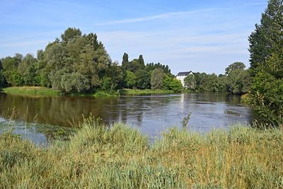 Scenic view of lake by trees against sky