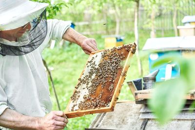 Low section of man holding ice cream