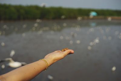 Cropped hand of woman over lake