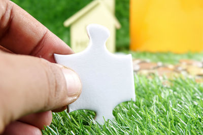 Close-up of hand holding grass