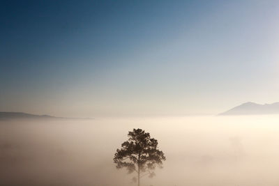 Scenic view of tree mountain against sky