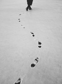 Low section of person walking on snow covered field