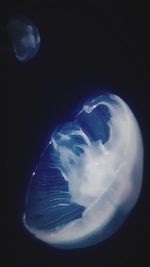 Close-up of moon over sea against sky