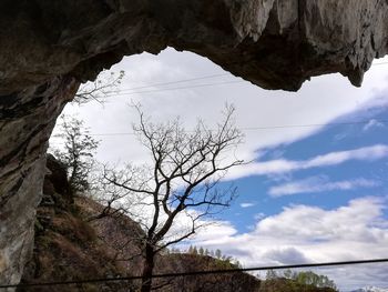 Low angle view of bare tree against sky