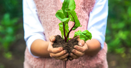 Close-up of hand holding plant