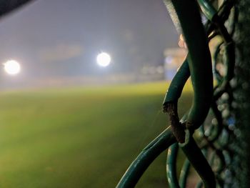 Close-up of plant growing on field against sky