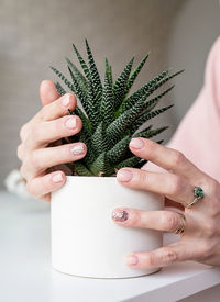 Woman hand with fresh made manicure holding a succulent potplant