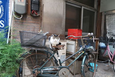 Bicycles in abandoned building