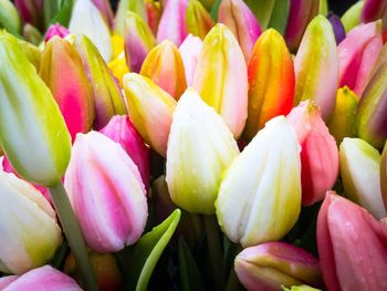 Close-up of flowers for sale in market