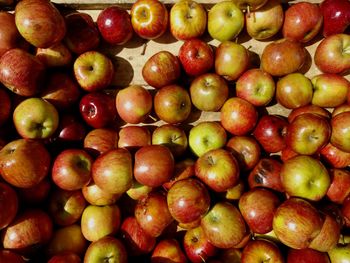 Full frame shot of apples for sale at market stall