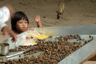 Boy looking at food