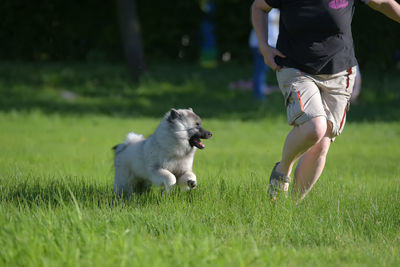 Low section of man with dog on field