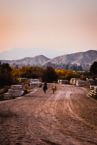 Rear view of people riding horses on sand during sunset