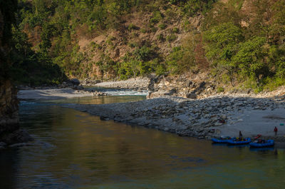 Scenic view of river against trees