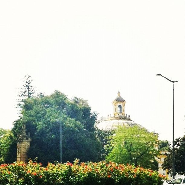 clear sky, flower, building exterior, architecture, low angle view, built structure, tree, religion, growth, copy space, plant, place of worship, spirituality, nature, day, church, sky, beauty in nature, yellow