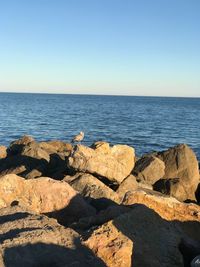 Scenic view of sea against clear sky