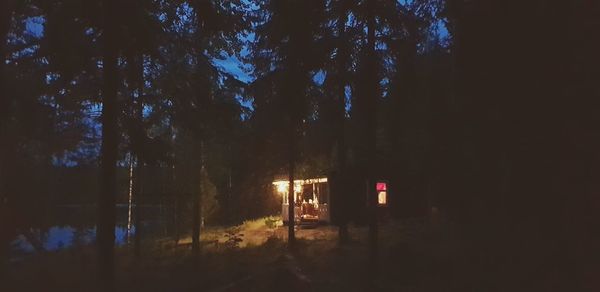 Illuminated trees by building against sky at night