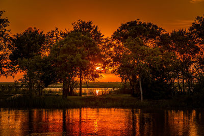 Silhouette trees by lake against orange sky