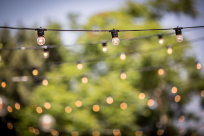 Close-up of illuminated light bulb on water