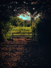 Park bench in park