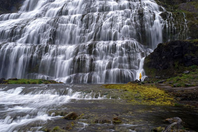 Scenic view of waterfall in forest