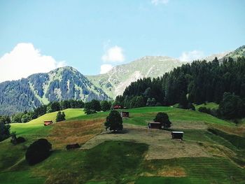 Scenic view of landscape against sky