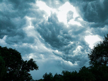 Low angle view of trees against cloudy sky