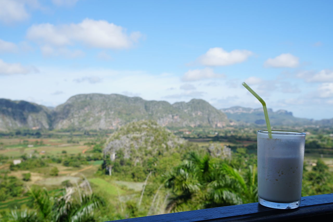 CLOSE-UP OF DRINK ON TABLE AGAINST PLANTS