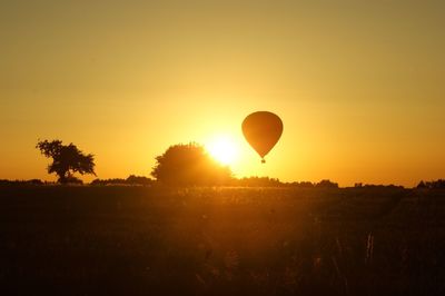 Hot air balloons on landscape at sunset