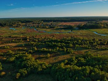 Scenic view of agricultural field against sky