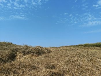 Scenic view of field against blue sky