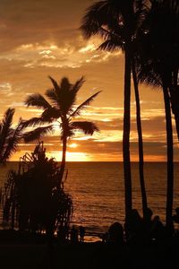 Silhouette of palm trees at sunset