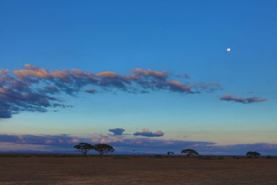 Scenic view of landscape against blue sky at dusk
