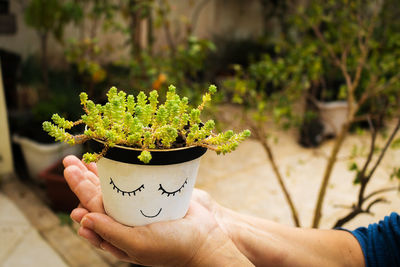 Person holding potted plant