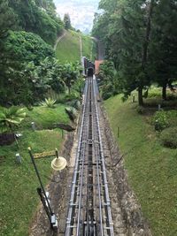 High angle view of railroad tracks amidst trees