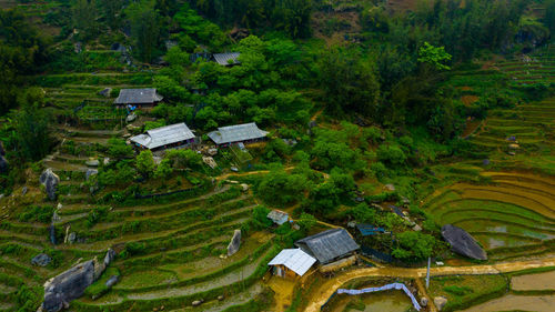 High angle view of trees on field