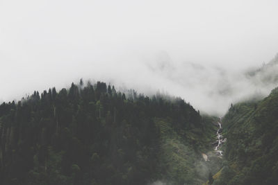 Panoramic view of trees and mountains against sky