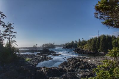 Scenic view of rocks in forest against sky