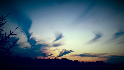 Silhouette trees against sky during sunset