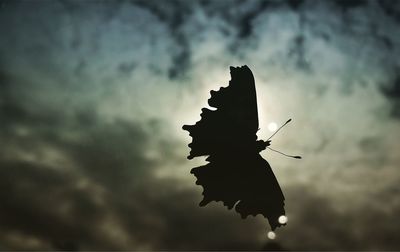 Low angle view of silhouette plant against sky at sunset