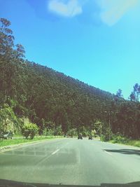 View of road along trees