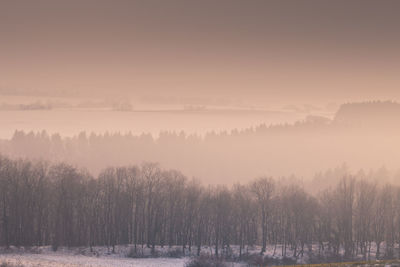 Trees on snow covered landscape against sky