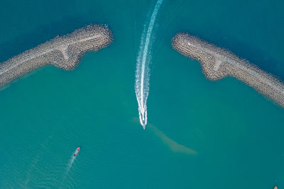 High angle view of turtle in sea