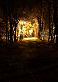 Road amidst trees in forest