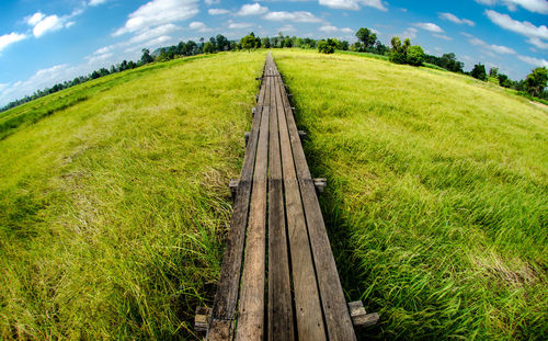 Boardwalk on field against sky